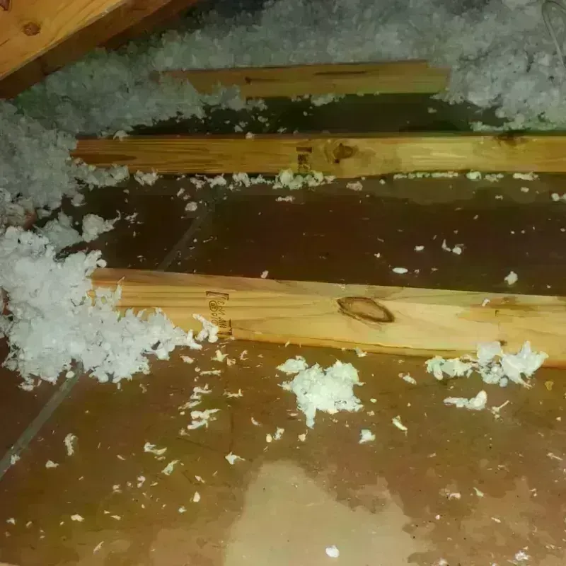 Attic Water Damage in Allen County, OH