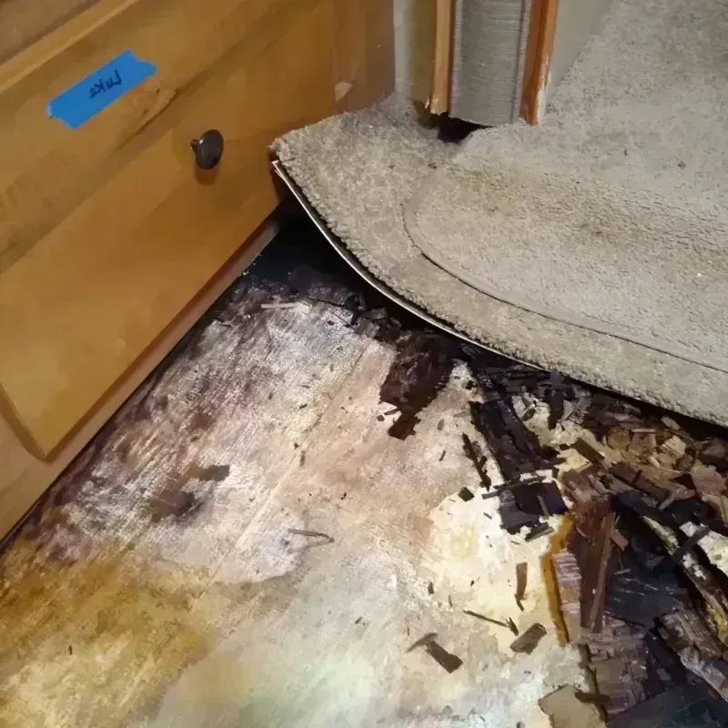 Wood Floor Water Damage in Allen County, OH